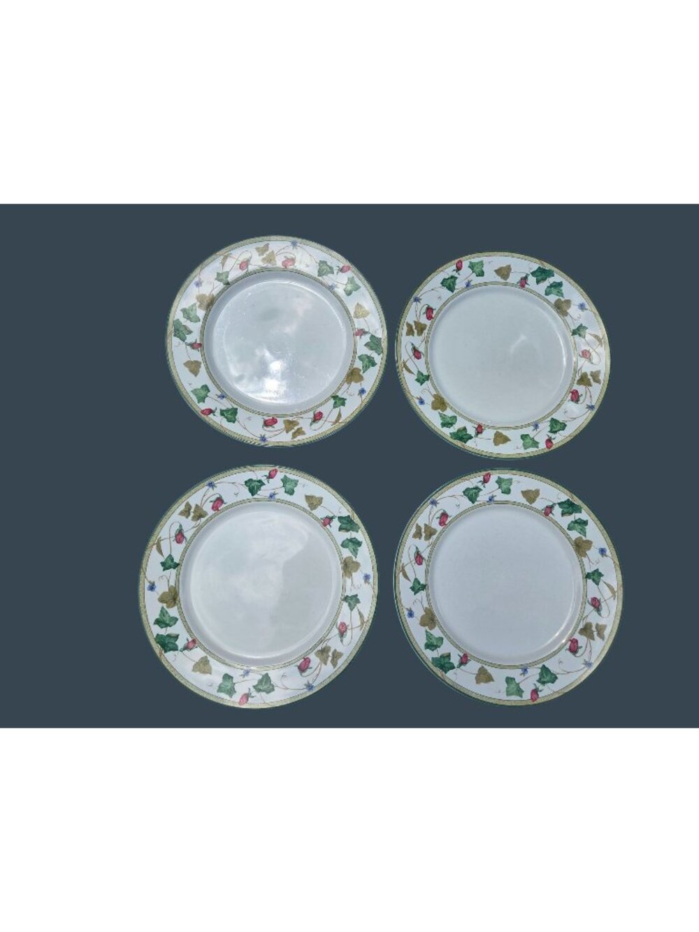 4 Lenox Summer Terrace Dinner Plates With Floral Vine Design 10 7/8"